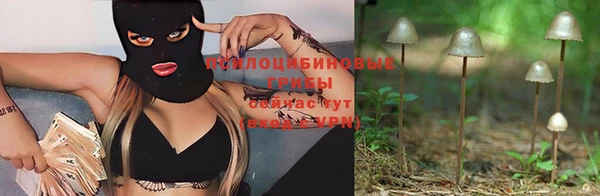 a pvp Беломорск