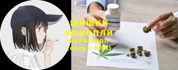 Альфа ПВП Белокуриха
