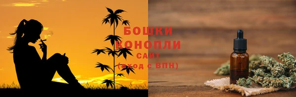 Альфа ПВП Белокуриха