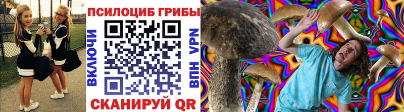 Псилоцибиновые грибы мухоморы  мега сайт  Жердевка 