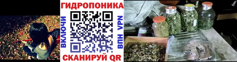 сколько стоит  Жердевка  Шишки марихуана OG Kush 